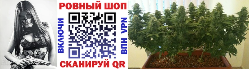 Купить наркоту Новая Ладога ОМГ ОМГ   LSD-25  КОКАИН  ГАШИШ  APVP 