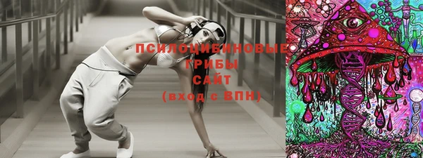 ешки Магадан