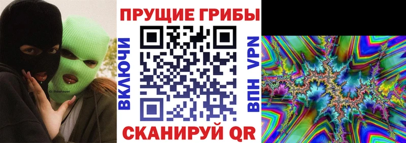 это клад  Новая Ладога  Псилоцибиновые грибы MAGIC MUSHROOMS 